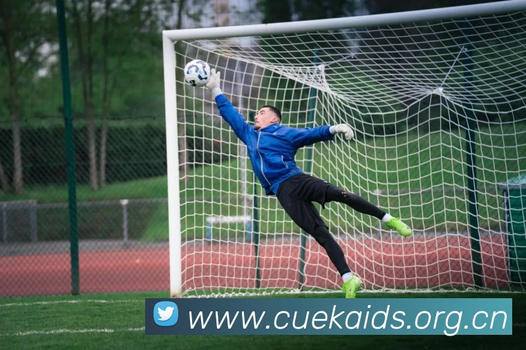 半岛官网网页版入口服务体系